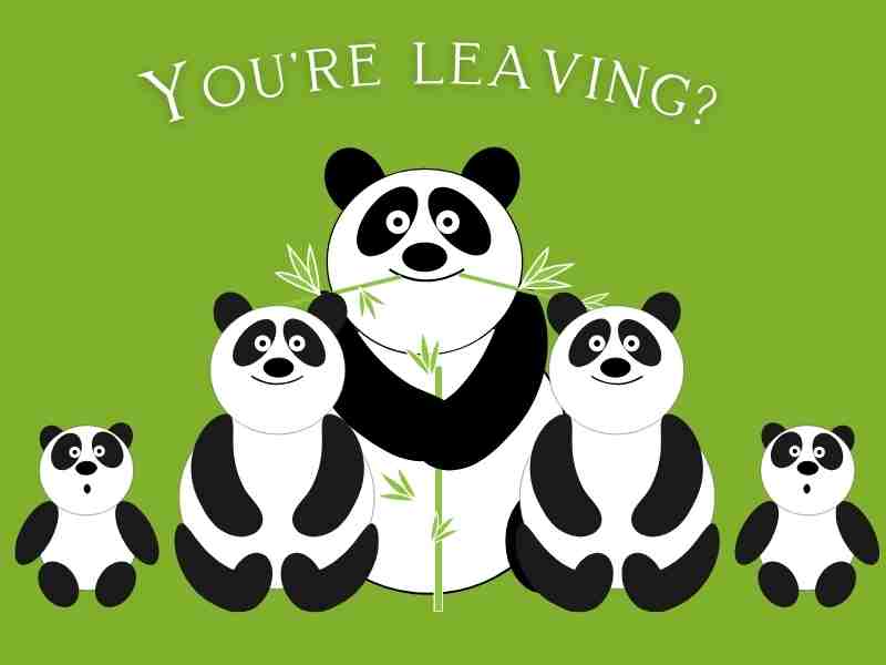 Group Card Design example for various occasions with Gift Collection